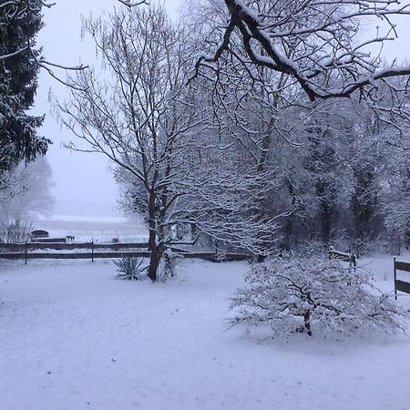 Auszeithaus Brigittenhof Muncheberg ภายนอก รูปภาพ