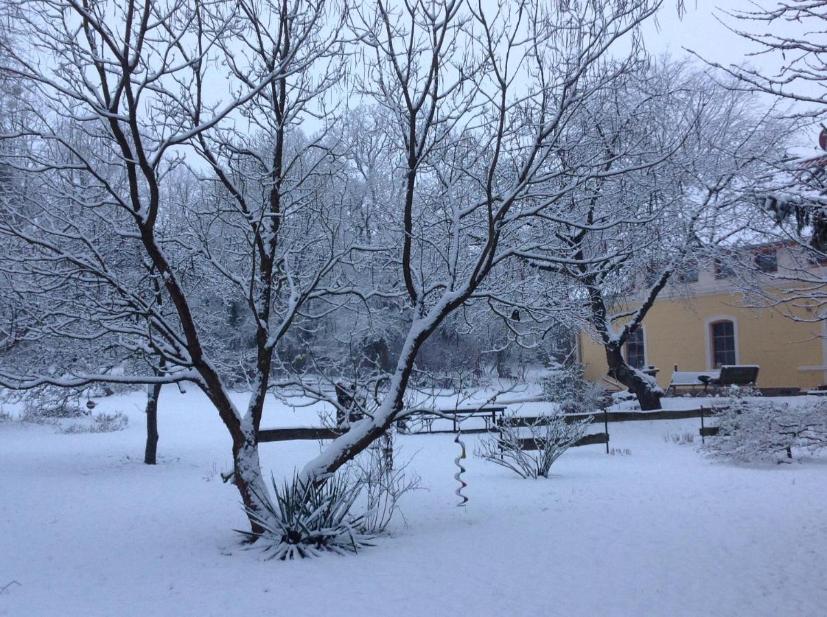 Auszeithaus Brigittenhof Muncheberg ภายนอก รูปภาพ