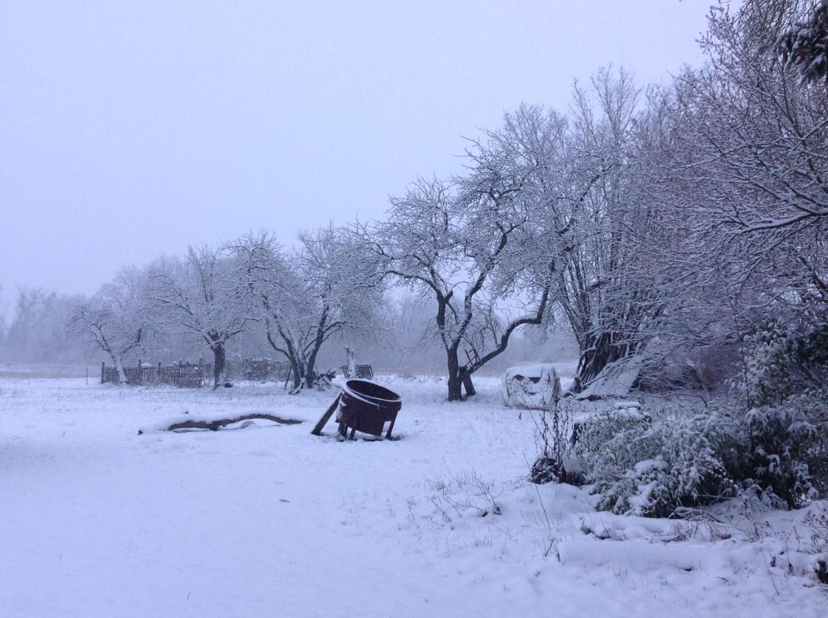 Auszeithaus Brigittenhof Muncheberg ภายนอก รูปภาพ