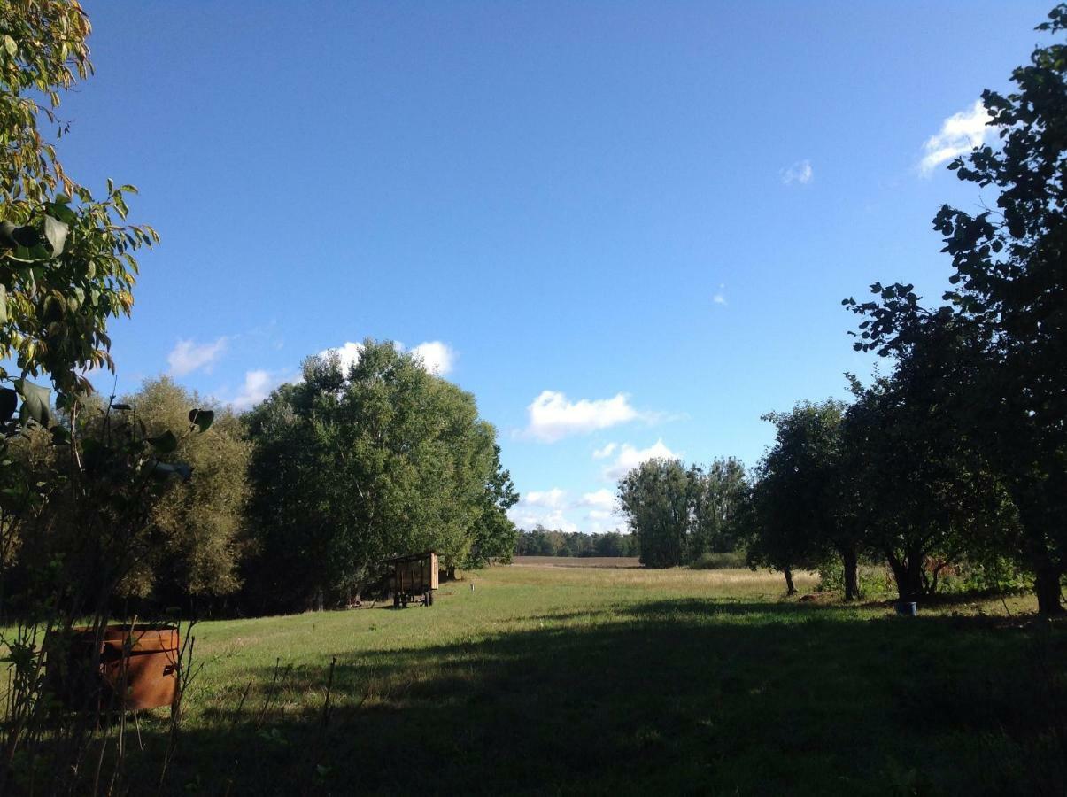 Auszeithaus Brigittenhof Muncheberg ภายนอก รูปภาพ