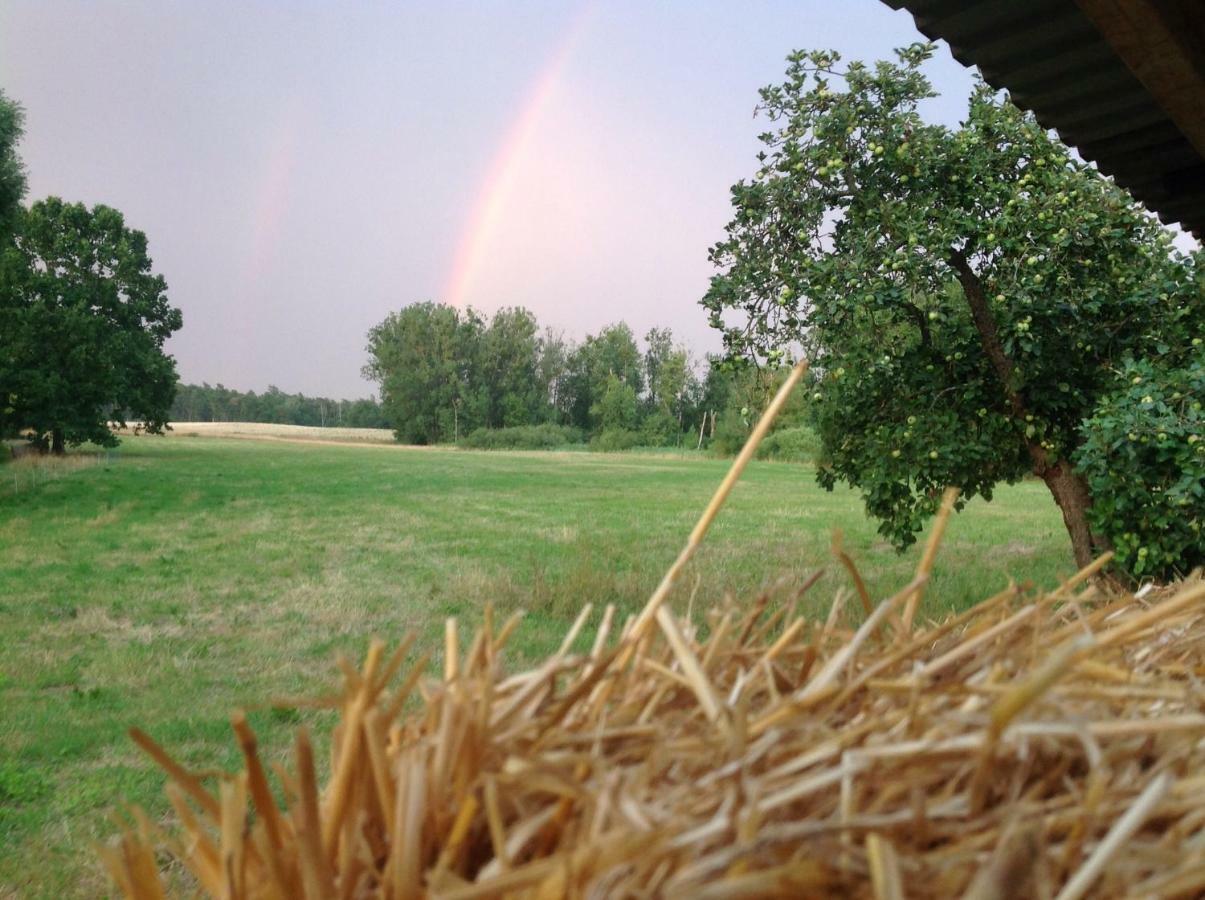 Auszeithaus Brigittenhof Muncheberg ภายนอก รูปภาพ